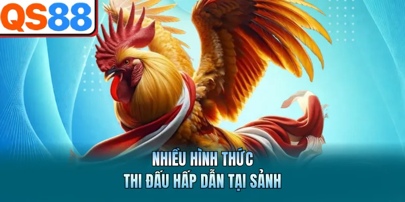 Đá Gà QS88 - Hấp Dẫn, Trực Tiếp Và Mượt Mà Mỗi Ngày 3 Nhiều hình thức thi đấu hấp dẫn tại sảnh